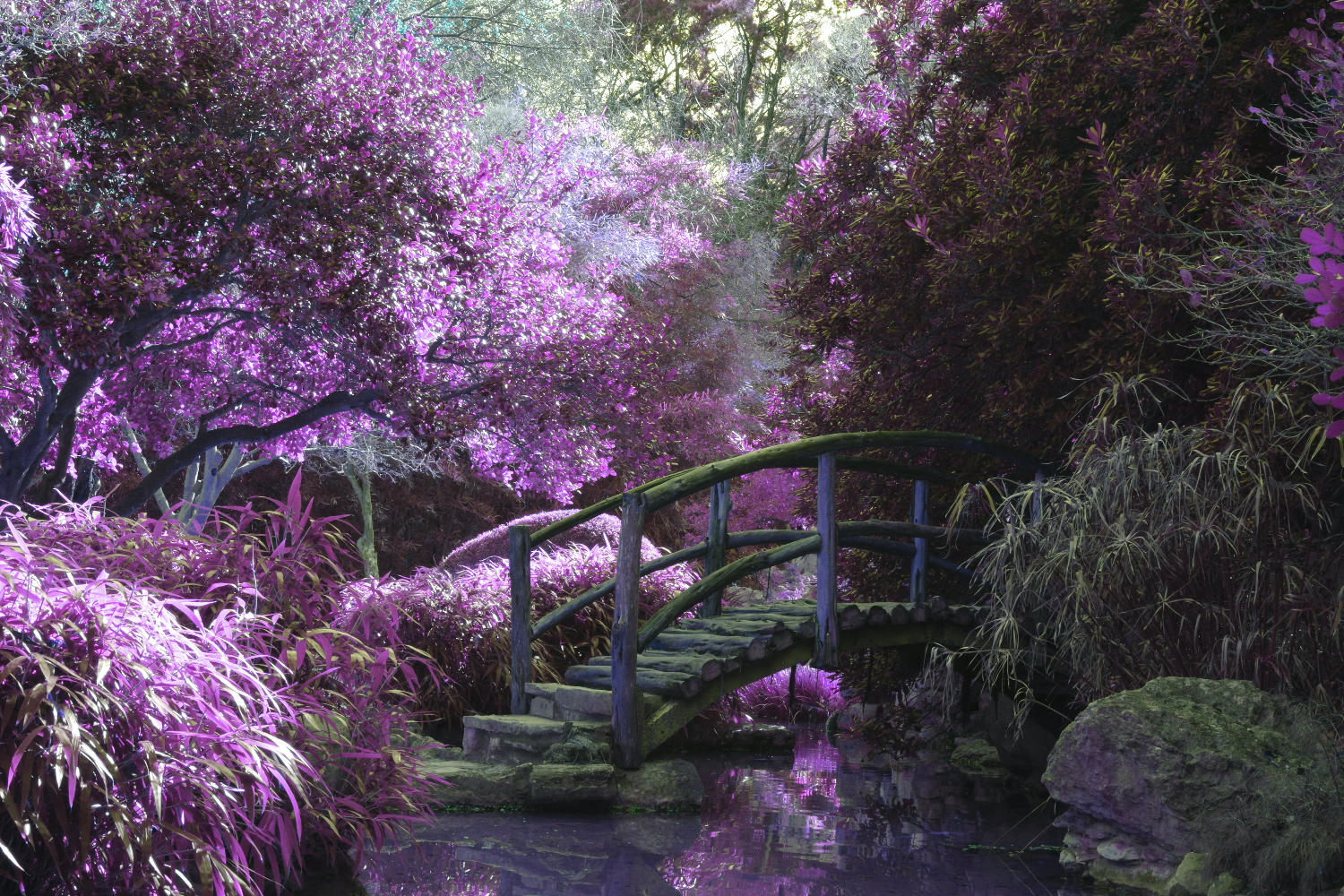 Pink Fairy Jewelry Forest with Fairy Bridge